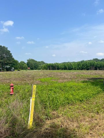 001 Dripping Springs Landing, Pangburn, AR 72121