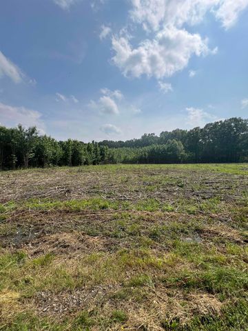 001 Dripping Springs Landing, Pangburn, AR 72121