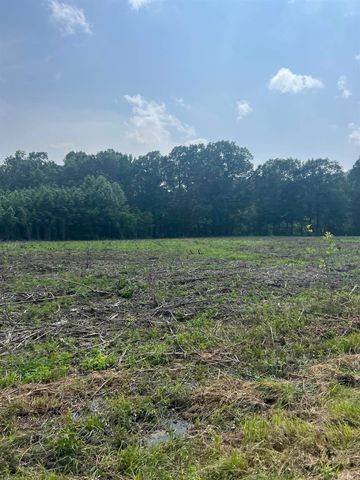 001 Dripping Springs Landing, Pangburn, AR 72121