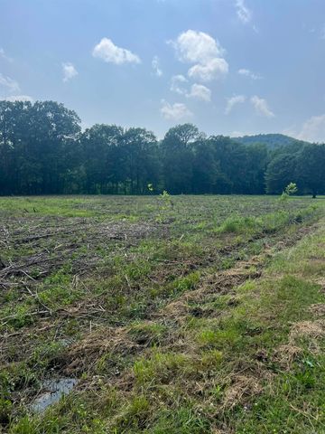001 Dripping Springs Landing, Pangburn, AR 72121