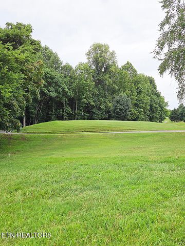 148 White Hawk Drive, Vonore, TN 37885