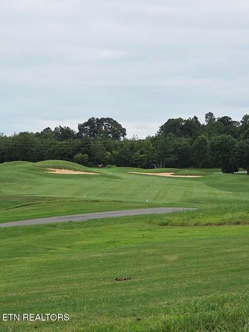 148 White Hawk Drive, Vonore, TN 37885