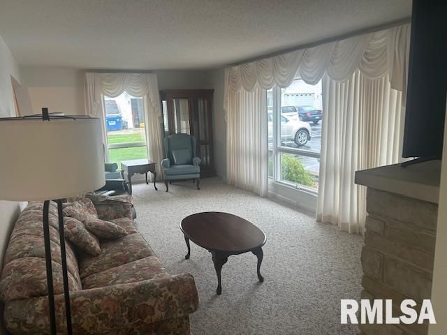 309 N CLAY Street, Taylorville, IL 62568