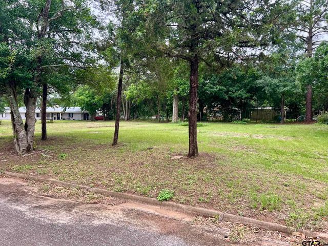 407 Myrtle Street, Grapeland, TX 75844