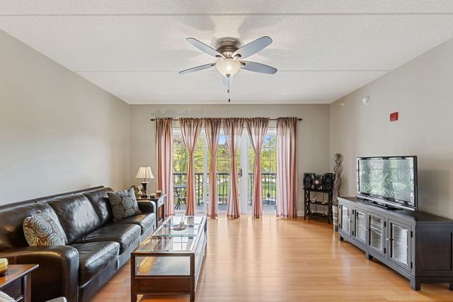100 S Emerson Street 205, Mount Prospect, IL 60056