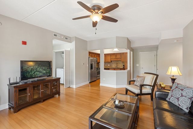 100 S Emerson Street 205, Mount Prospect, IL 60056
