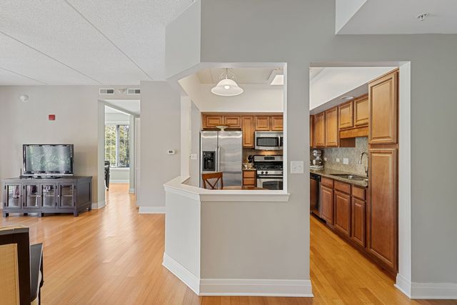 100 S Emerson Street 205, Mount Prospect, IL 60056