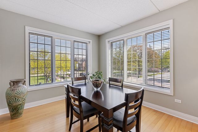 100 S Emerson Street 205, Mount Prospect, IL 60056