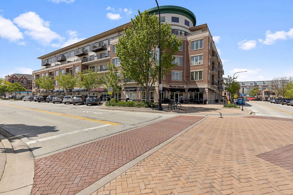100 S Emerson Street 205, Mount Prospect, IL 60056