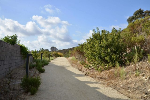 10403 Adamson, San Diego, CA 92126