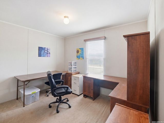 102 Mil Encinos, Adkins, TX 78101