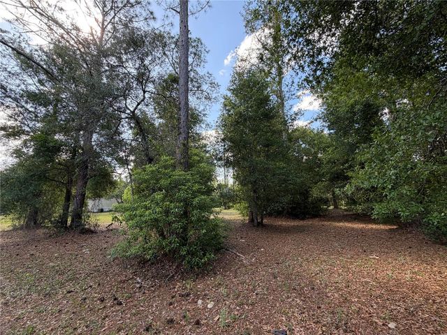 30842 ROUND LAKE ROAD, Mount Dora, FL 32757