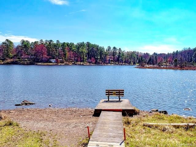 28 W Tusten Place, Bethel, NY 12720