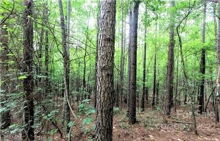 8 Chasewood Drive, Rutherfordton, NC 28139