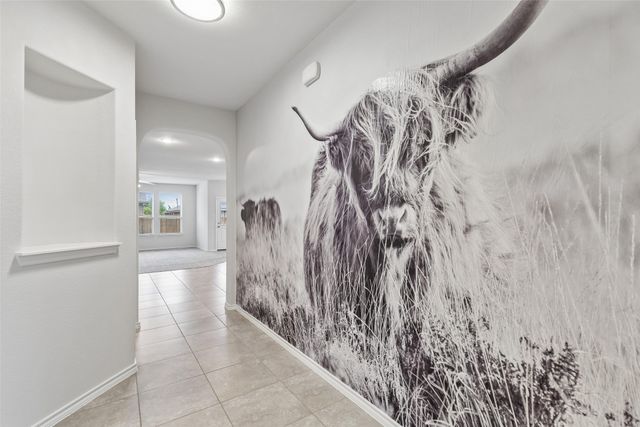 15720 Barton Ridge Drive, Fort Worth, TX 76177