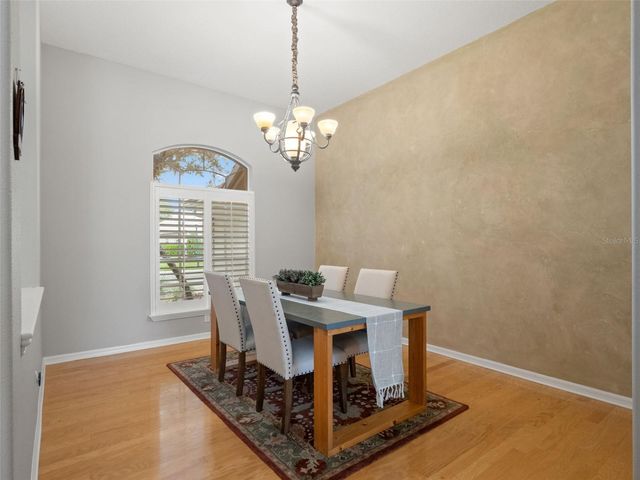 17923 ARBOR GREENE DRIVE, Tampa, FL 33647