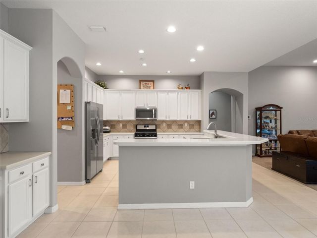 17923 ARBOR GREENE DRIVE, Tampa, FL 33647