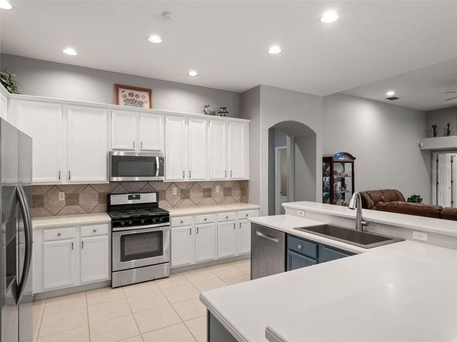 17923 ARBOR GREENE DRIVE, Tampa, FL 33647