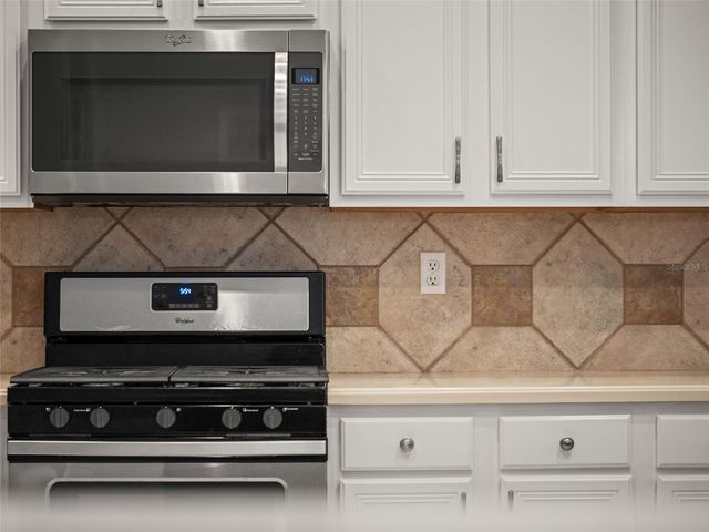 17923 ARBOR GREENE DRIVE, Tampa, FL 33647