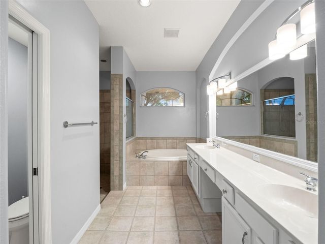 17923 ARBOR GREENE DRIVE, Tampa, FL 33647