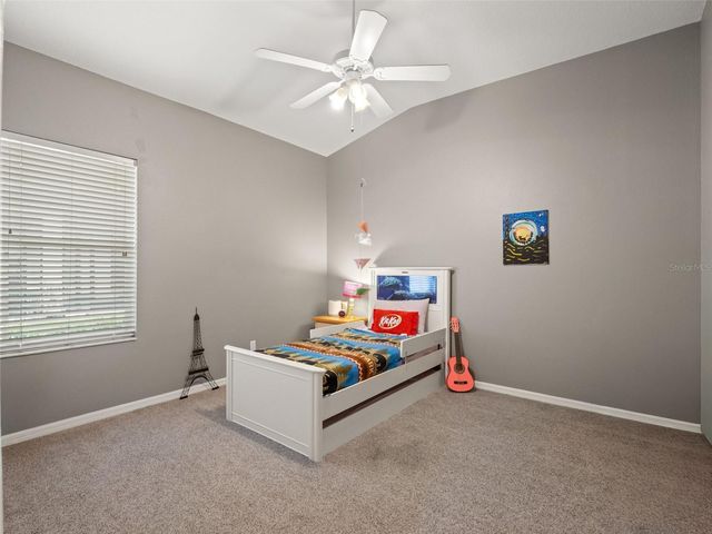 17923 ARBOR GREENE DRIVE, Tampa, FL 33647