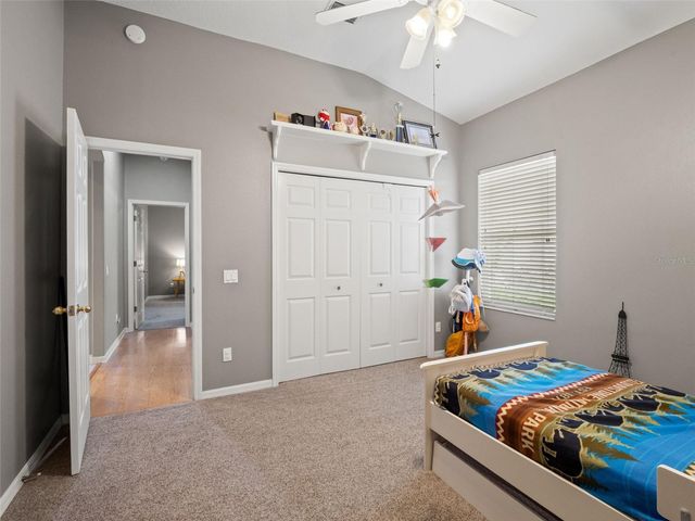 17923 ARBOR GREENE DRIVE, Tampa, FL 33647