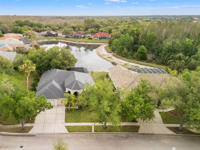 17923 ARBOR GREENE DRIVE, Tampa, FL 33647