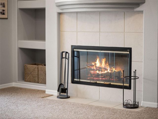 17923 ARBOR GREENE DRIVE, Tampa, FL 33647