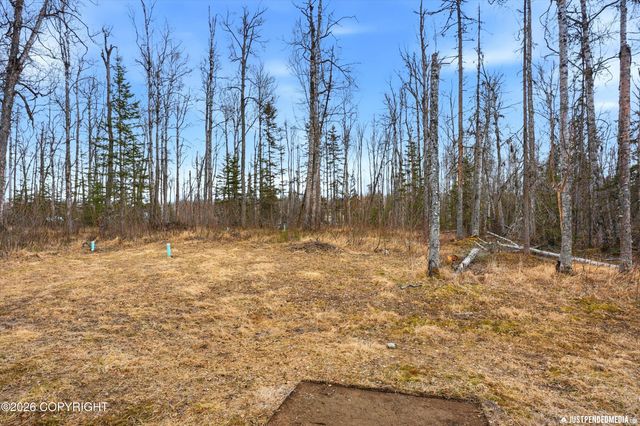 4122 S Gon Fishin Drive, Wasilla, AK 99623