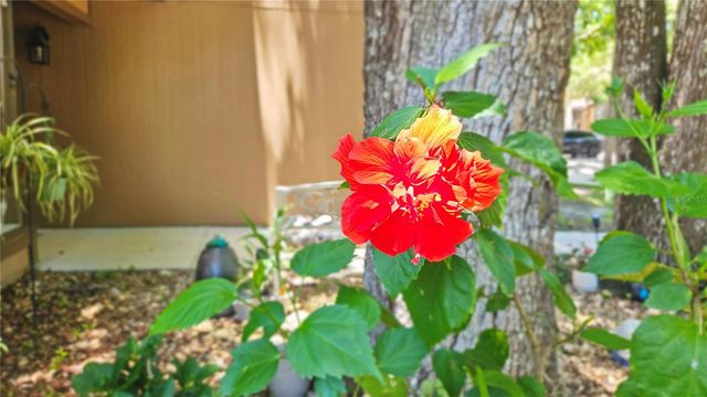 21 MID PINES CIRCLE, Palm Coast, FL 32137