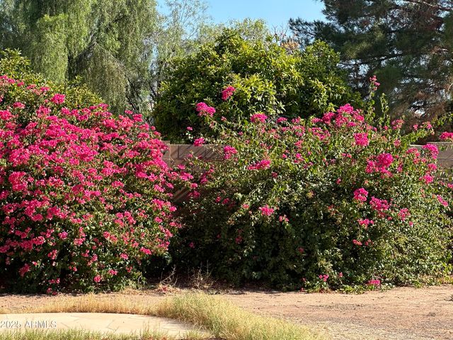 1755 W ASPEN Avenue, Gilbert, AZ 85233