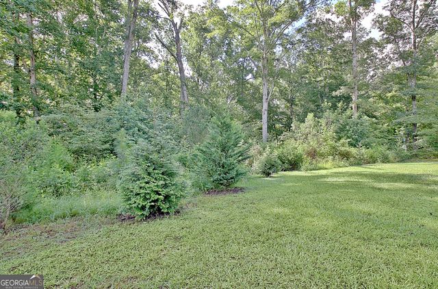 134 Old Bailey Farms Drive, Senoia, GA 30276