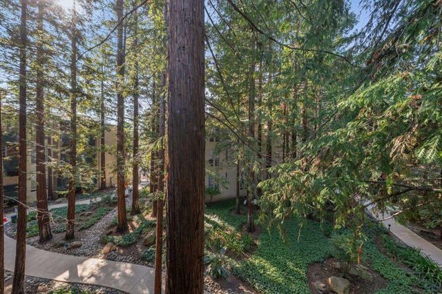 175 Sierra Dr 308, Walnut Creek, CA 94596