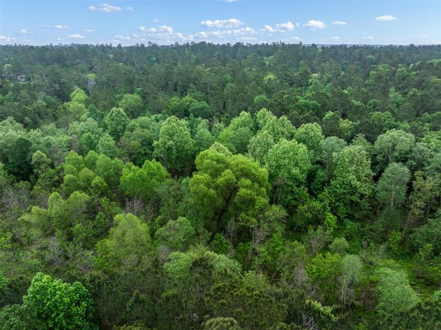 0000 Texas Grand Road, Huntsville, TX 77340