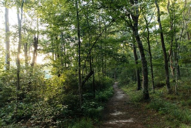0000 Texas Grand Road, Huntsville, TX 77340