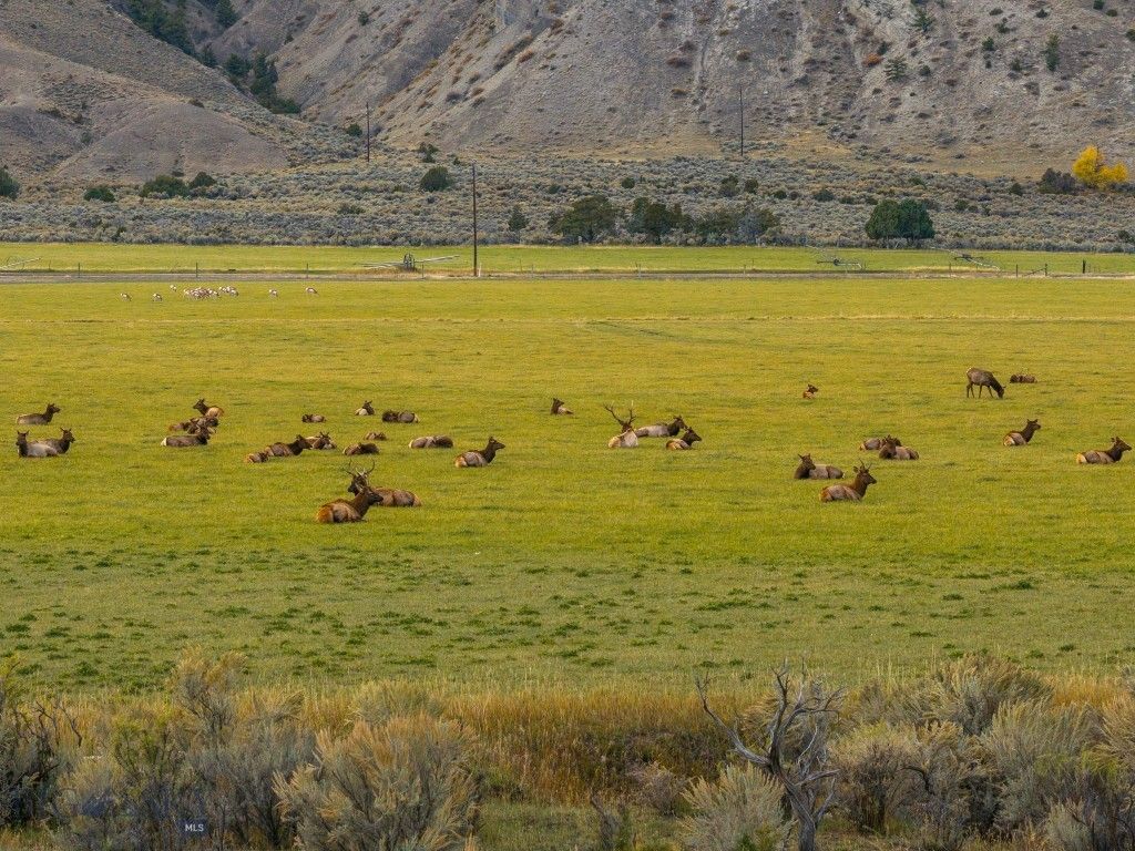 453 US Highway 89 S, Gardiner, MT 59030 photo 28