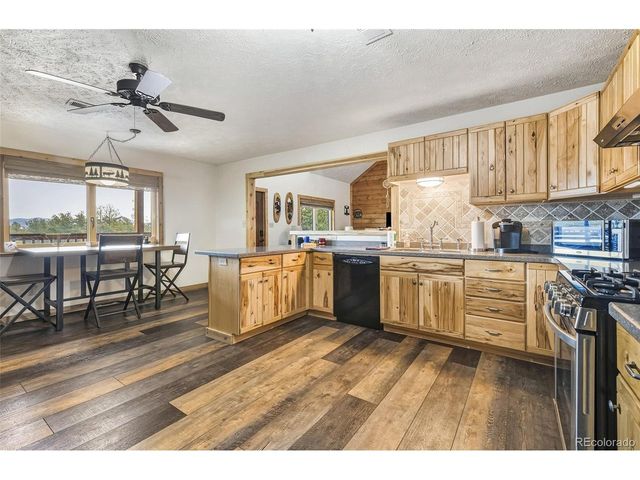 111 Twinkle Rd, Guffey, CO 80820
