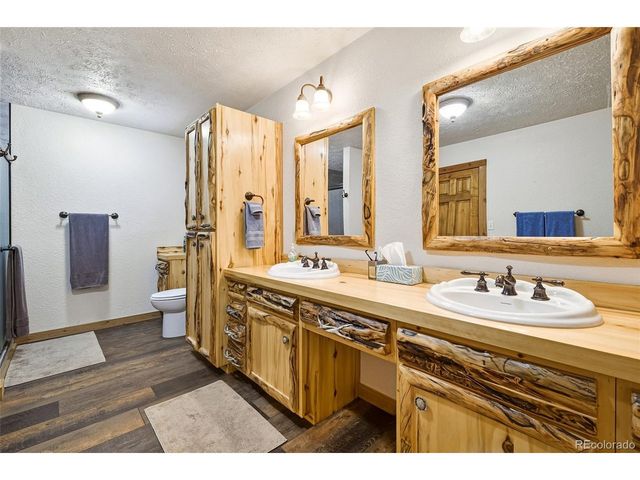 111 Twinkle Rd, Guffey, CO 80820