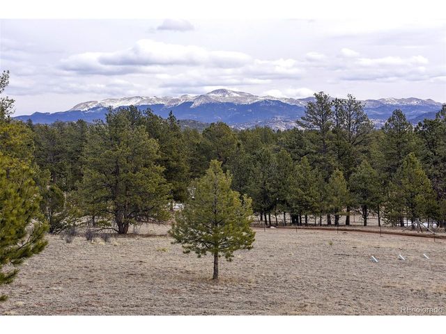 111 Twinkle Rd, Guffey, CO 80820