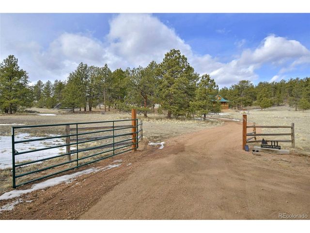 111 Twinkle Rd, Guffey, CO 80820