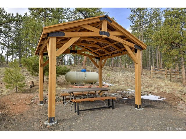 111 Twinkle Rd, Guffey, CO 80820