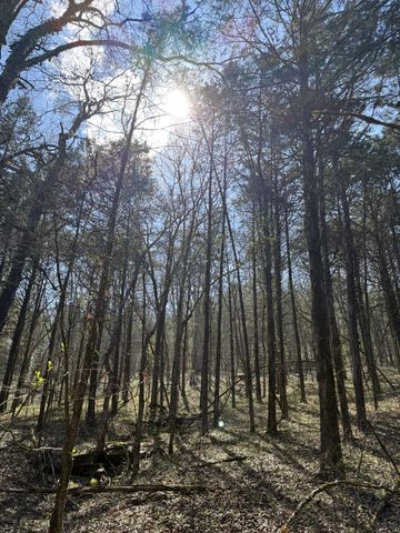 855 Lick Creek Rd, Hartsville, TN 37074