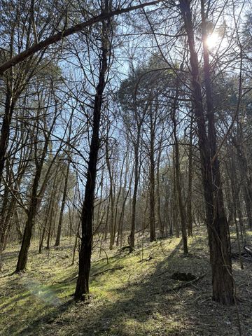 855 Lick Creek Rd, Hartsville, TN 37074