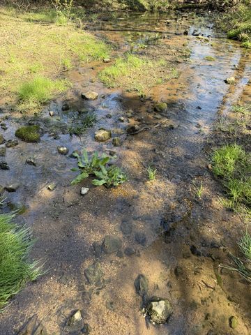 855 Lick Creek Rd, Hartsville, TN 37074