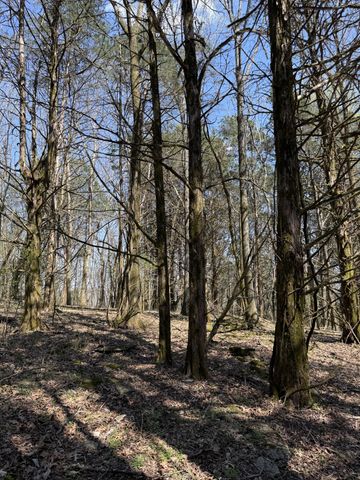 855 Lick Creek Rd, Hartsville, TN 37074