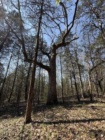 855 Lick Creek Rd, Hartsville, TN 37074