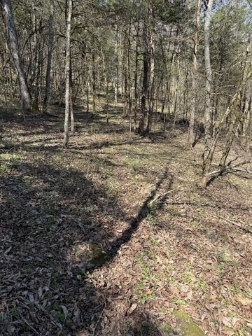 855 Lick Creek Rd, Hartsville, TN 37074