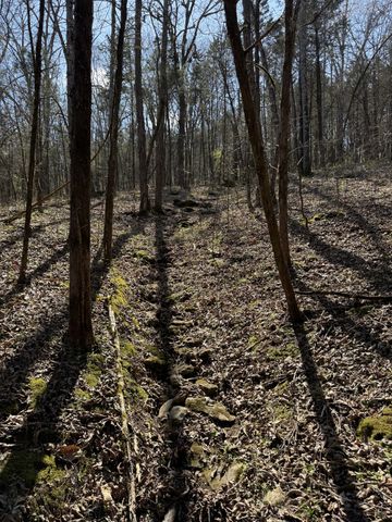 855 Lick Creek Rd, Hartsville, TN 37074