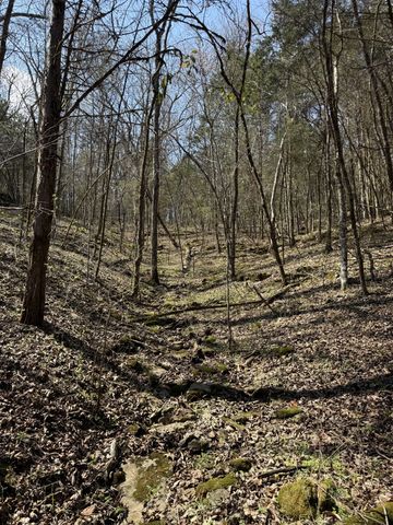 855 Lick Creek Rd, Hartsville, TN 37074