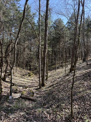 855 Lick Creek Rd, Hartsville, TN 37074